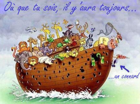 la bible, et noé ont oublié de nous l'enseigner, Julo s'en est chargé !